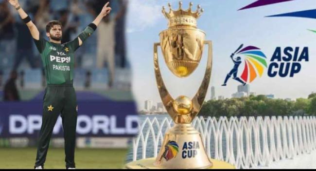 UAE කණ්ඩායමට එරෙහි තරගයේ ජය පාකිස්ථානයට